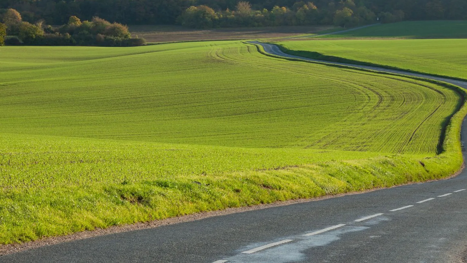 Route de campagne déserte traversant des champs, illustrant l'éloignement des zones sous-dotées